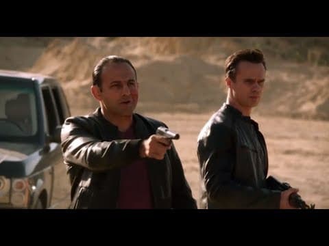Scorpion Starring Roman Mitichyan